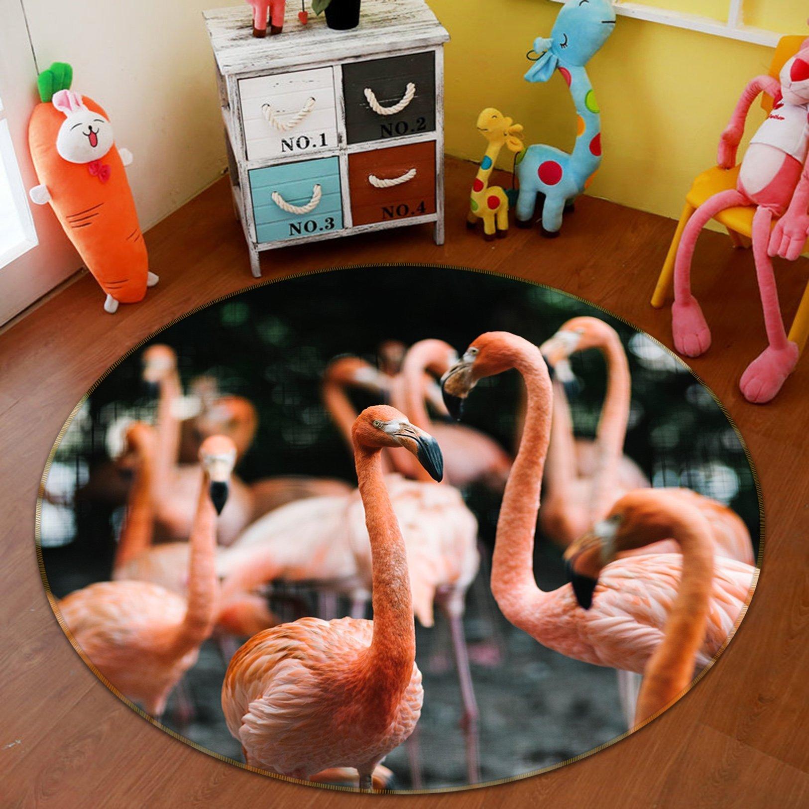 3D Flamingo Group 048 Animal Round Non Slip Rug Mat Mat AJ Creativity Home 