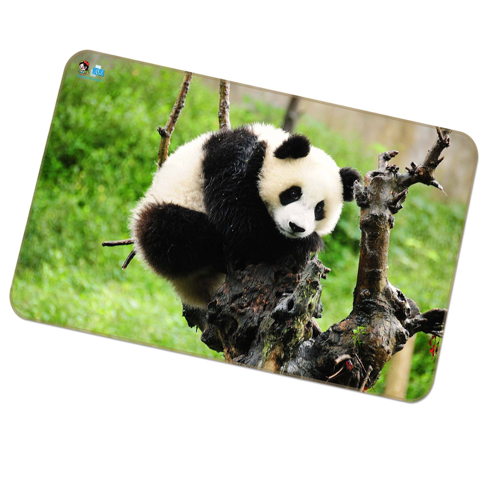 3D Funny Panda 259 Non Slip Rug Mat Mat AJ Creativity Home 