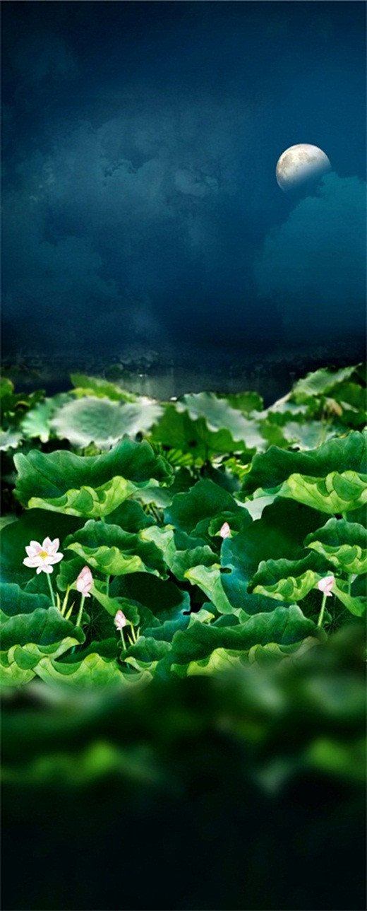3D lotus pond in the night door mural Wallpaper AJ Wallpaper 