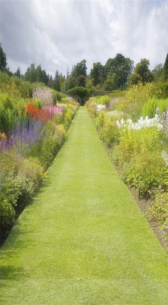 3D grassland flower scenery door mural Wallpaper AJ Wallpaper 