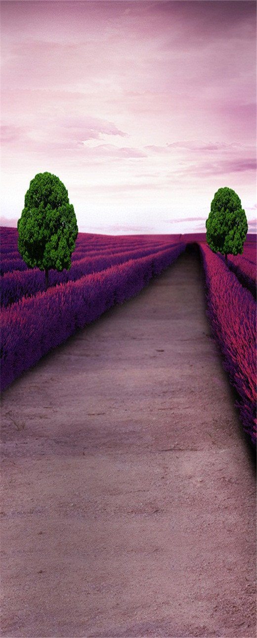 3D la route de lavande door mural Wallpaper AJ Wallpaper 