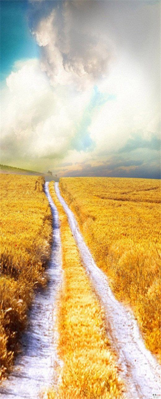 3D rice field baiyun path door mural Wallpaper AJ Wallpaper 