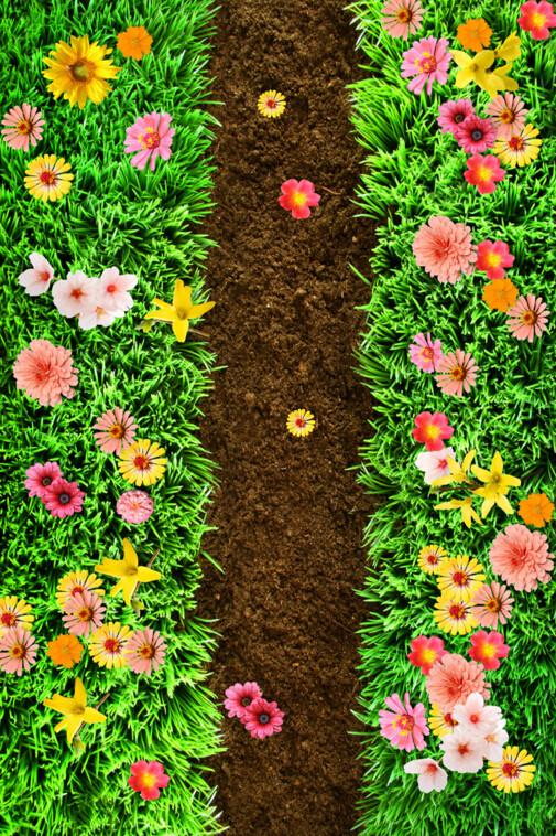 3D Grass And Flowers Floor Mural Wallpaper AJ Wallpaper 2 