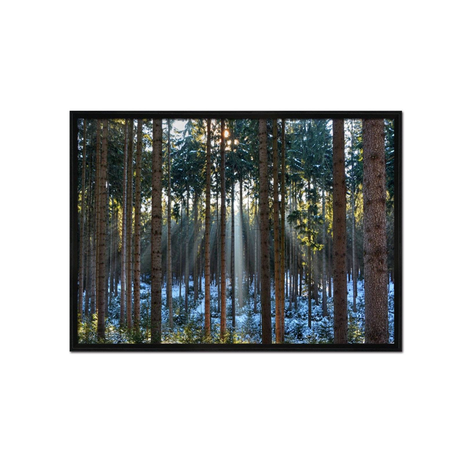 3D Sunshine Melting 049 Fake Framed Print Painting Wallpaper AJ Creativity Home 