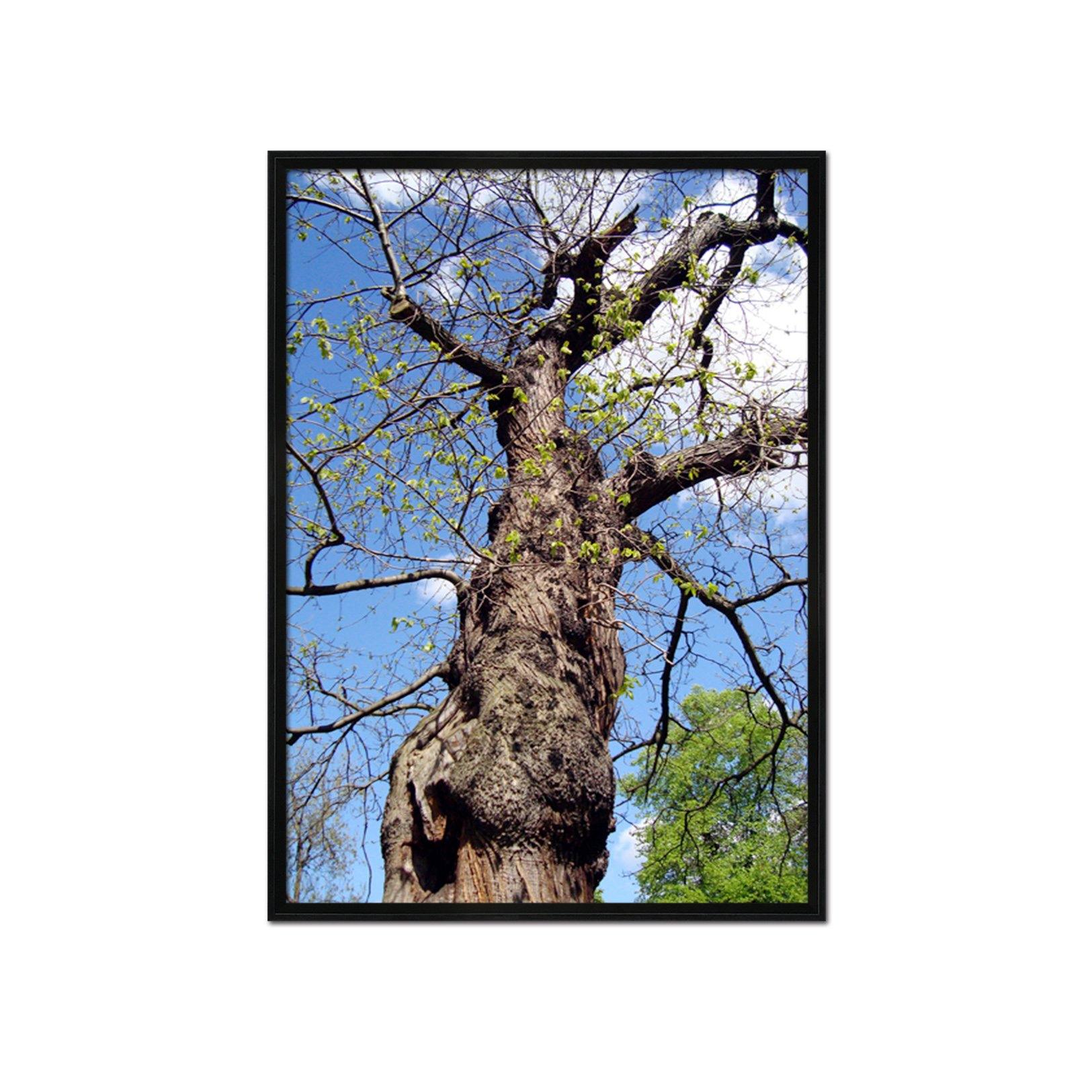 3D Lonely Tree 069 Fake Framed Print Painting Wallpaper AJ Creativity Home 