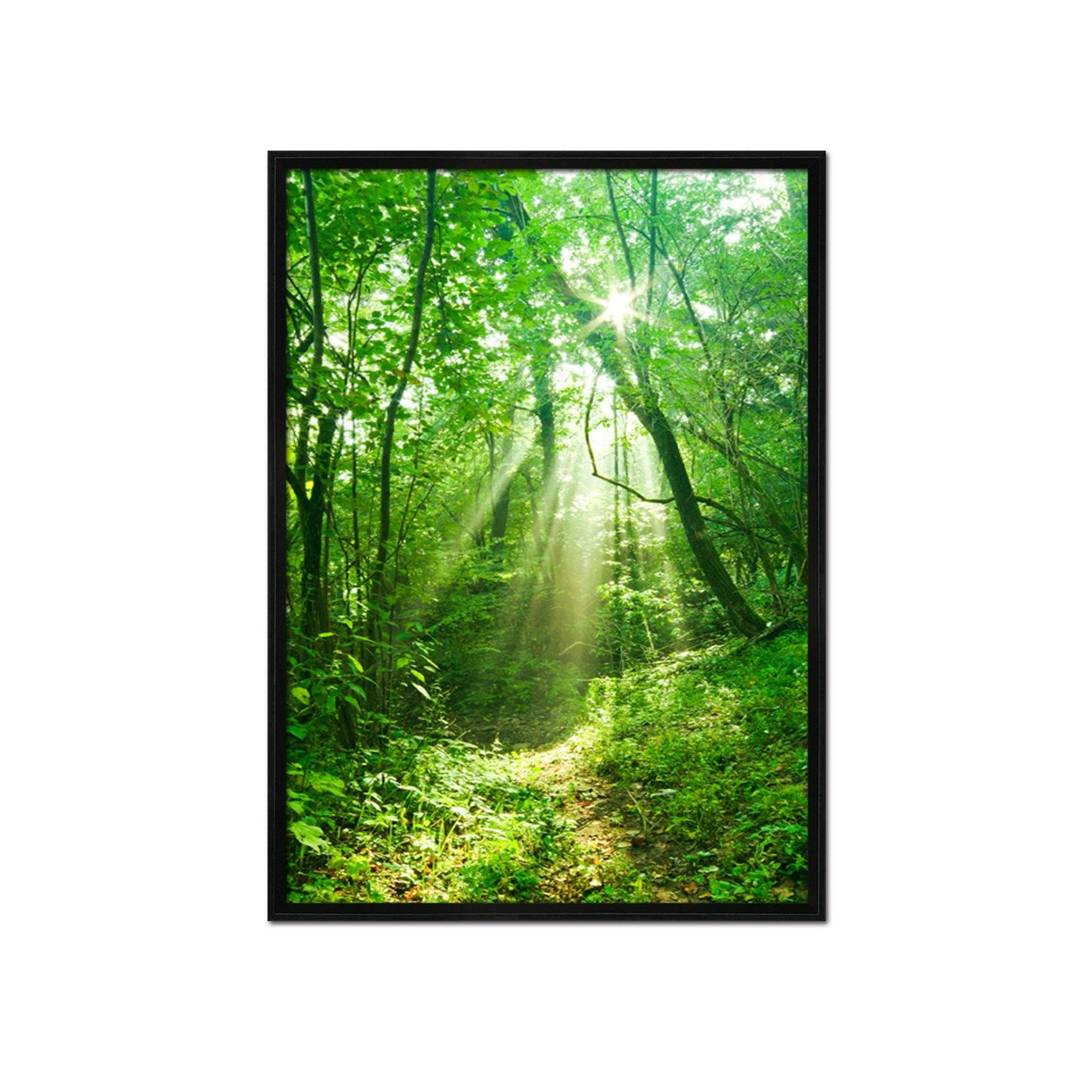 3D Forest Sunshine 123 Fake Framed Print Painting Wallpaper AJ Creativity Home 