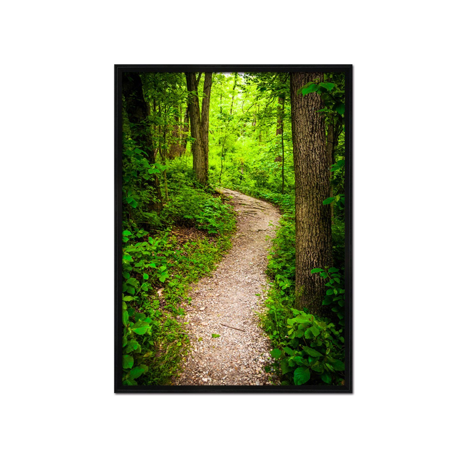3D Forest Trail 109 Fake Framed Print Painting Wallpaper AJ Creativity Home 