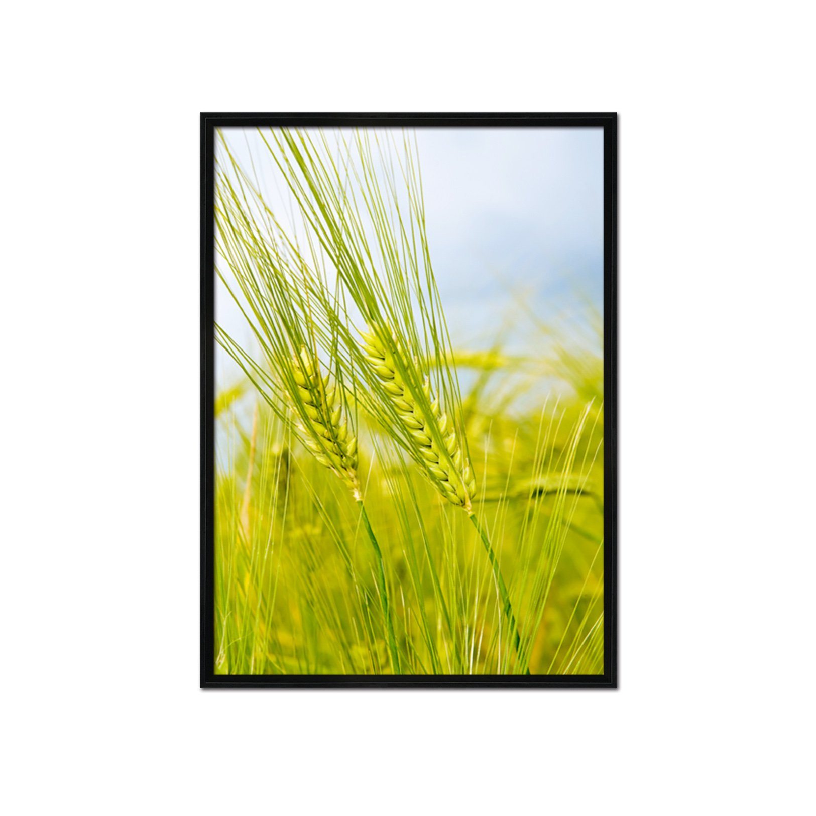 3D Dog's Tail Grass 021 Fake Framed Print Painting Wallpaper AJ Creativity Home 
