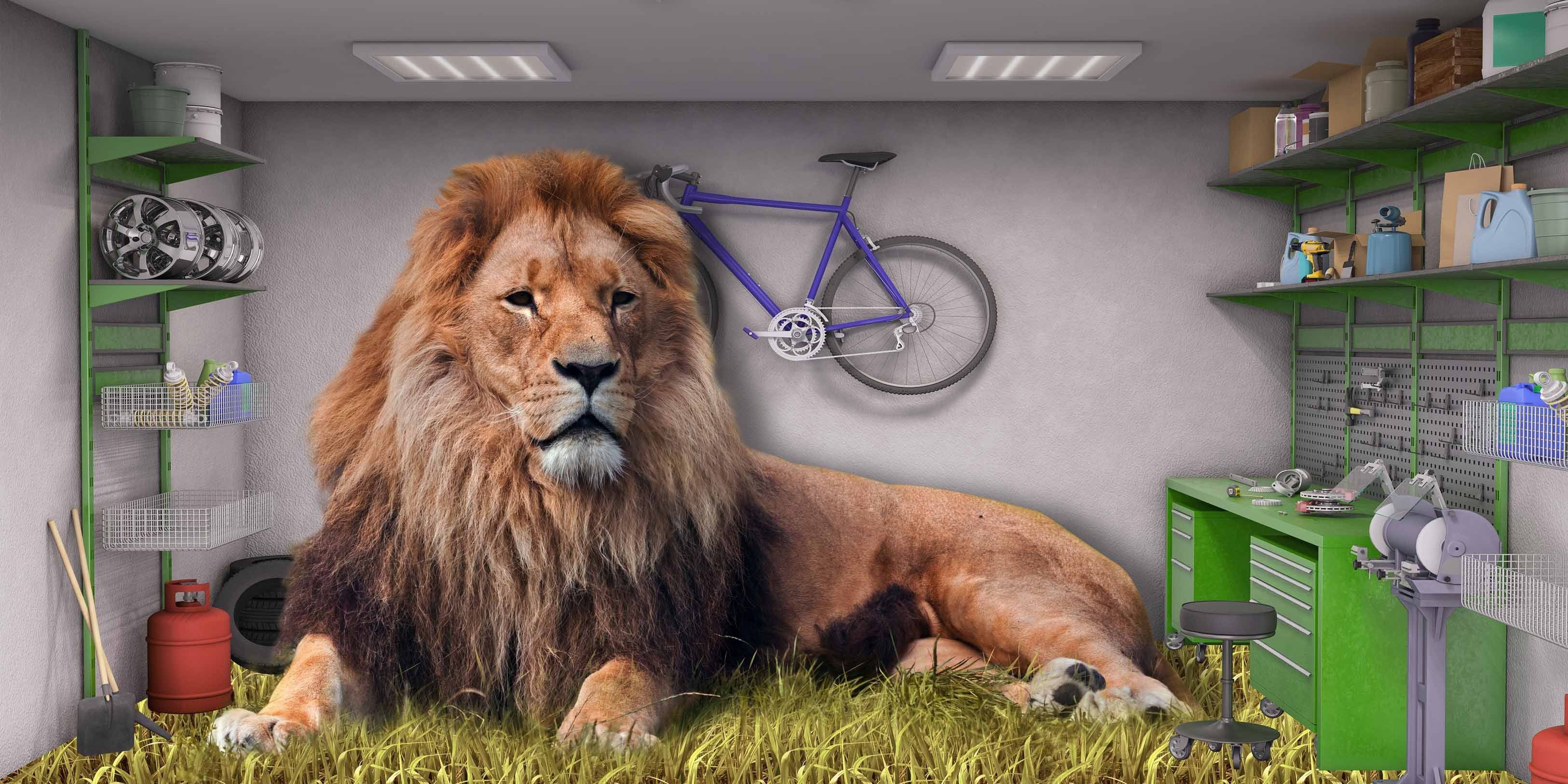 3D Big Lion 408 Garage Door Mural Wallpaper AJ Wallpaper 