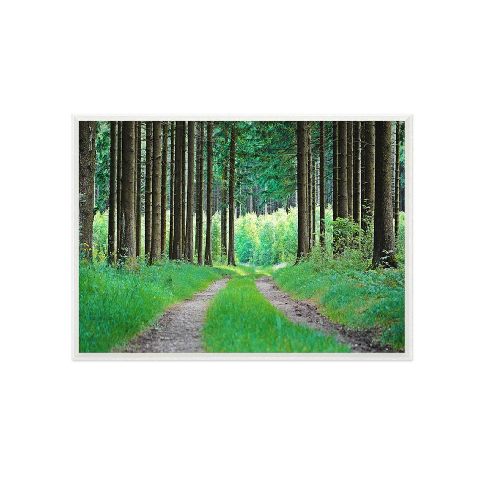 3D Grass Road 022 Fake Framed Print Painting Wallpaper AJ Creativity Home 