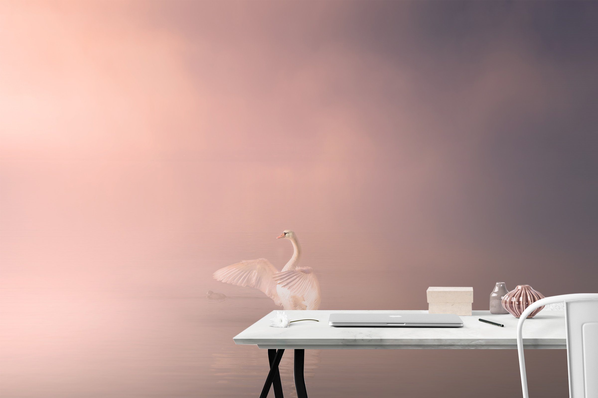 3D Swan Singing 240 Wallpaper AJ Wallpaper 