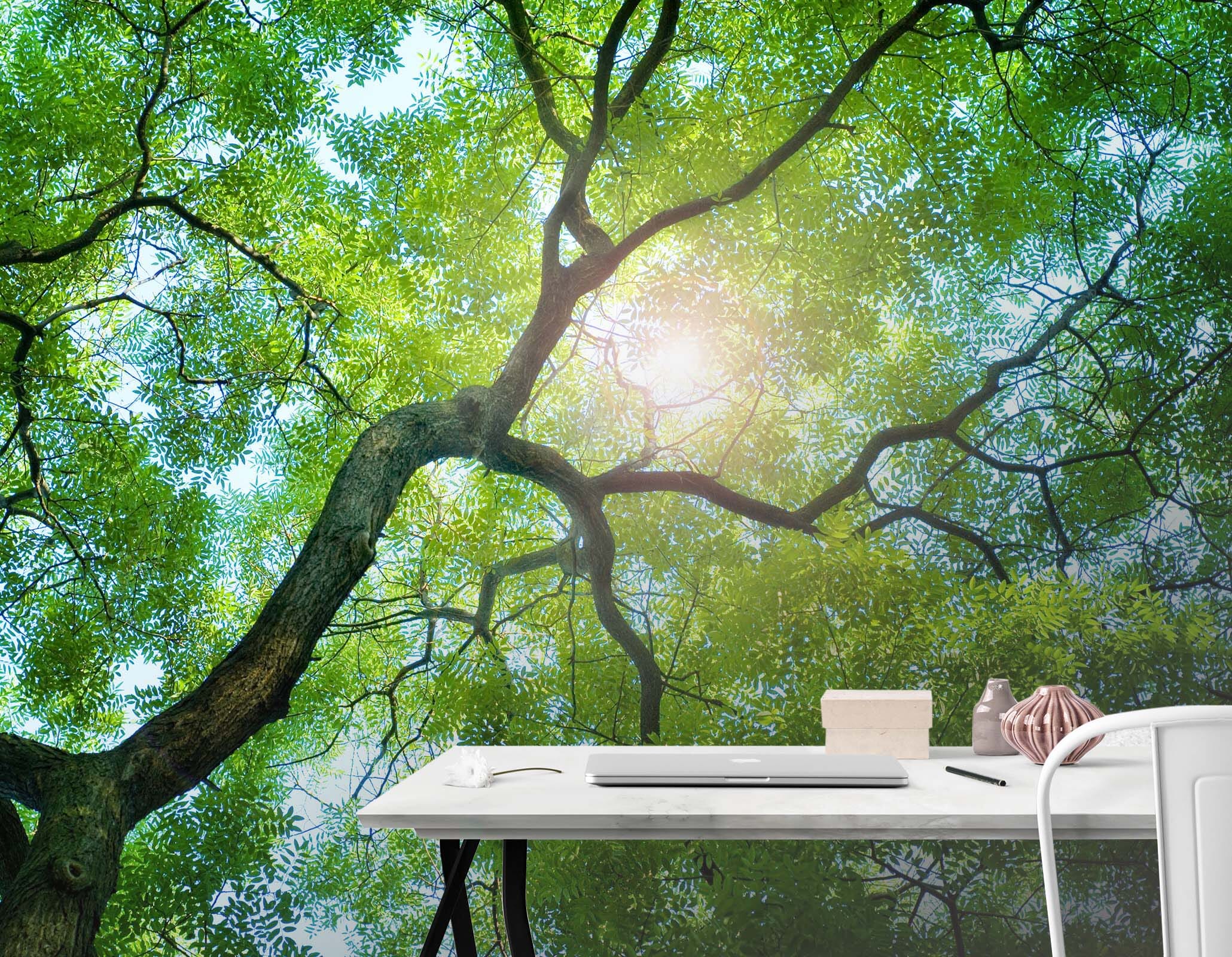 3D Sun Forest 116 Wall Murals Wallpaper AJ Wallpaper 2 