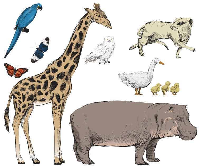 3D Giraffe Rhino 061 Animals Wall Stickers Wallpaper AJ Wallpaper 