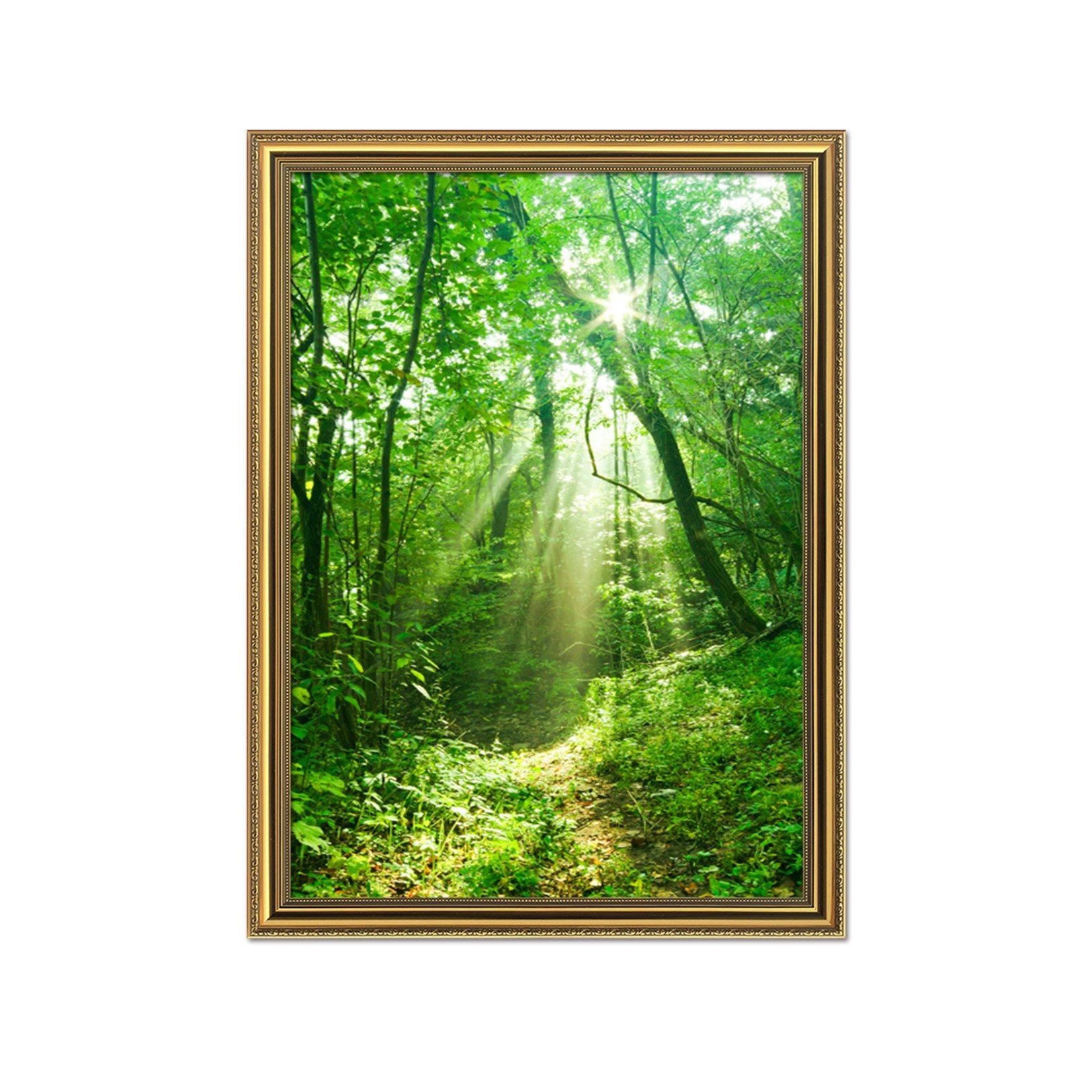 3D Forest Sunshine 123 Fake Framed Print Painting Wallpaper AJ Creativity Home 