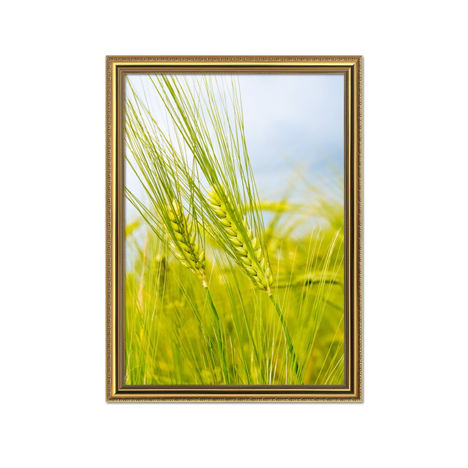 3D Dog's Tail Grass 021 Fake Framed Print Painting Wallpaper AJ Creativity Home 