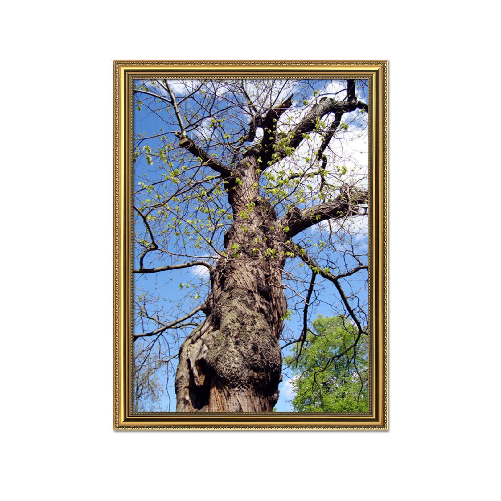 3D Lonely Tree 069 Fake Framed Print Painting Wallpaper AJ Creativity Home 