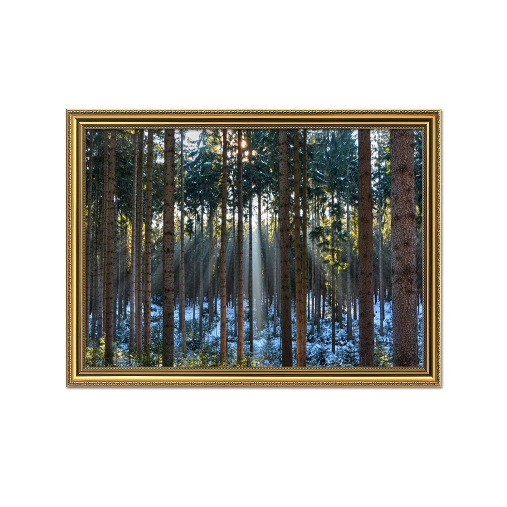 3D Sunshine Melting 049 Fake Framed Print Painting Wallpaper AJ Creativity Home 