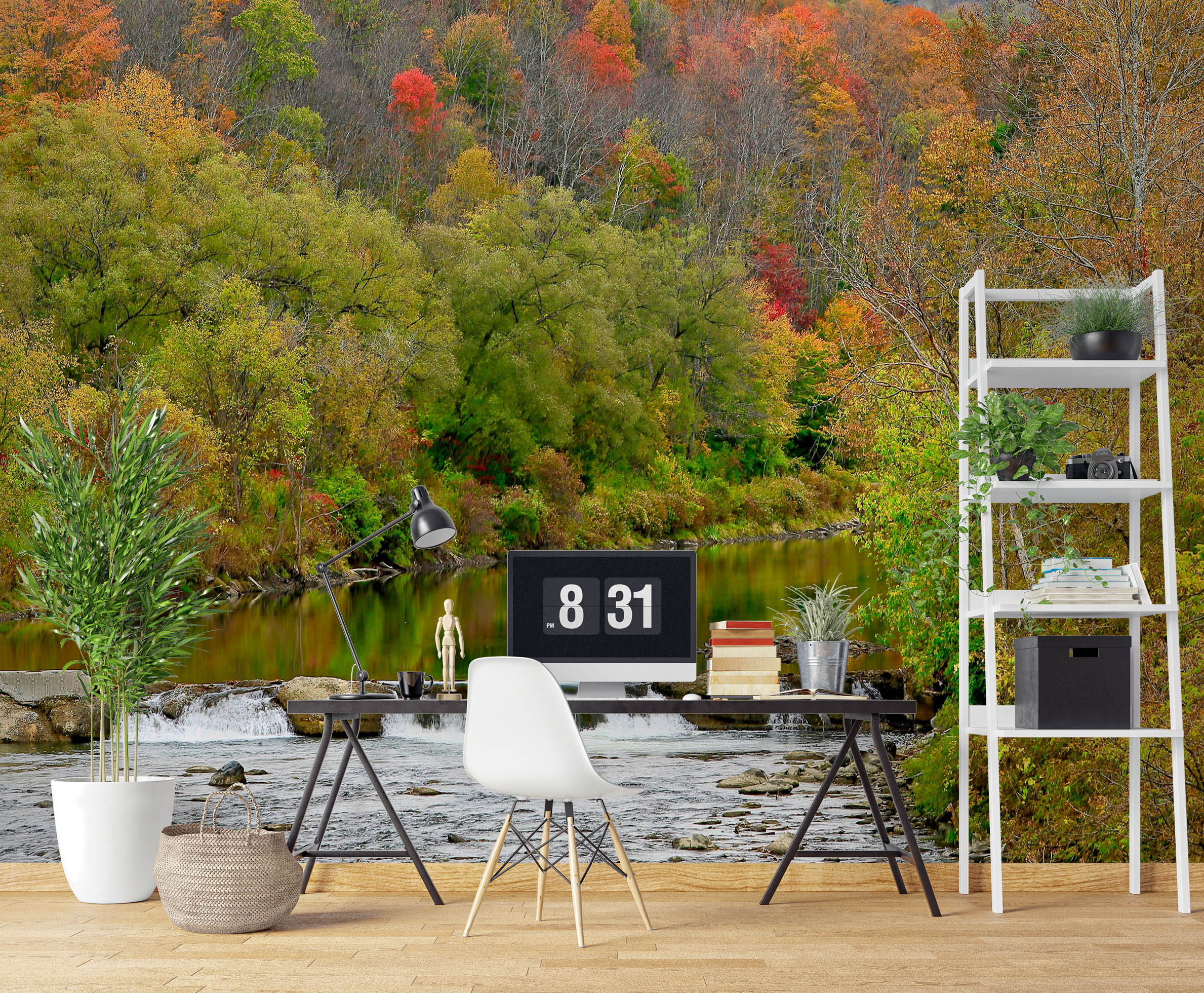 3D Forest 11187 Kathy Barefield Wall Mural Wall Murals