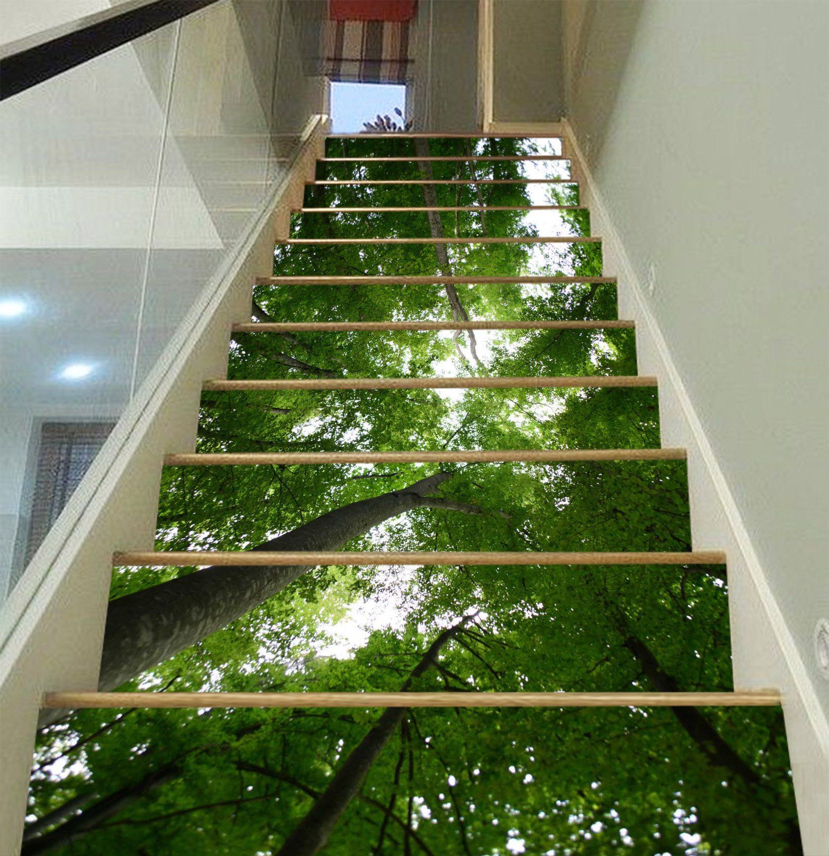 3D Forest Tall Trees 1554 Stair Risers Wallpaper AJ Wallpaper 
