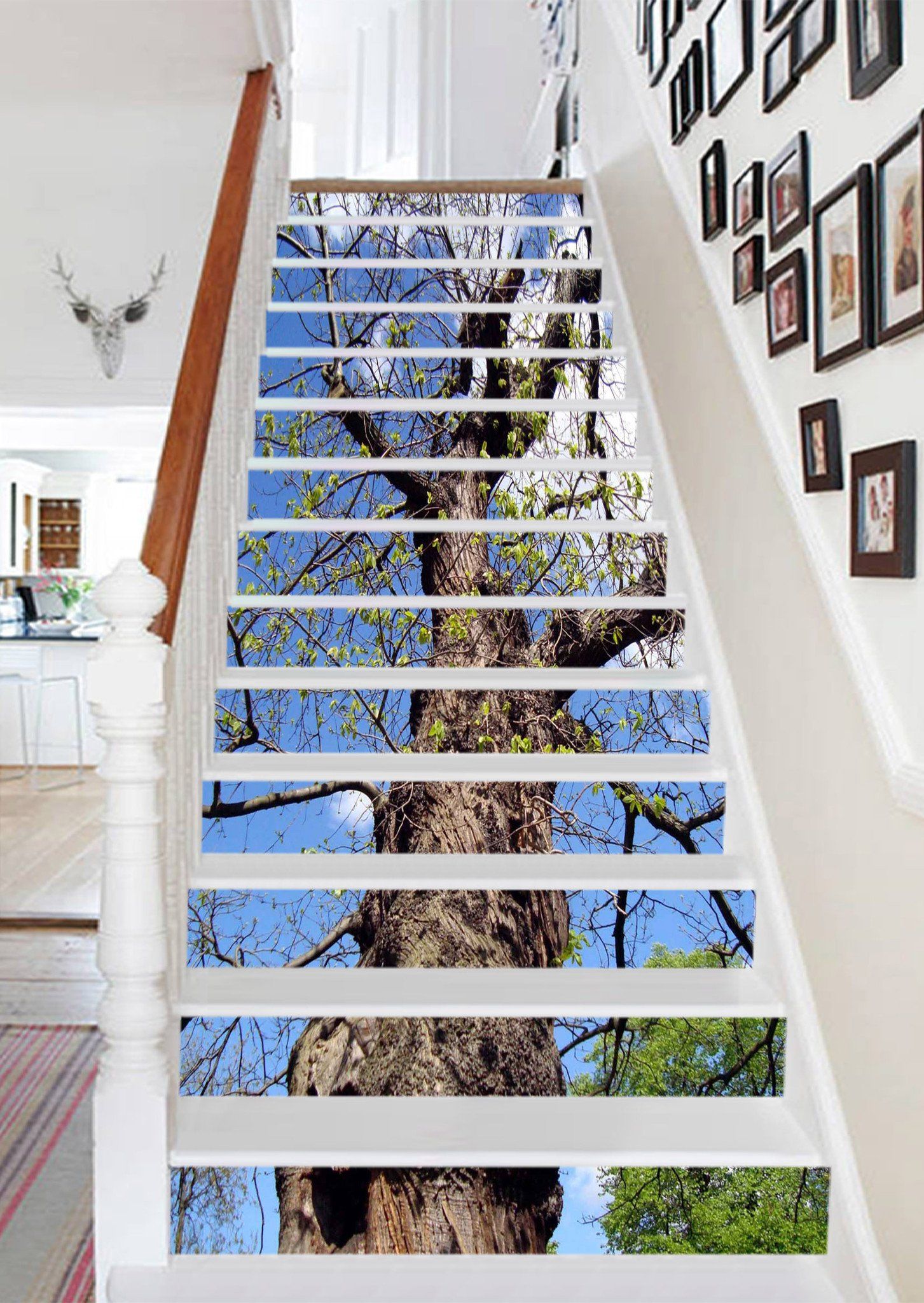 3D Stubborn Tree 905 Stair Risers Wallpaper AJ Wallpaper 