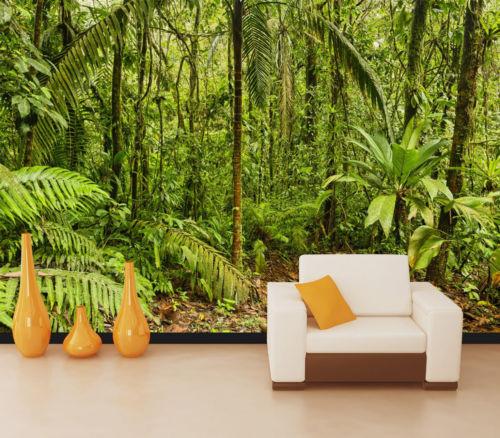 3D Rainforest tree Greening Wall Paper 227cm wide by 100cm high AJ Wallpaper 