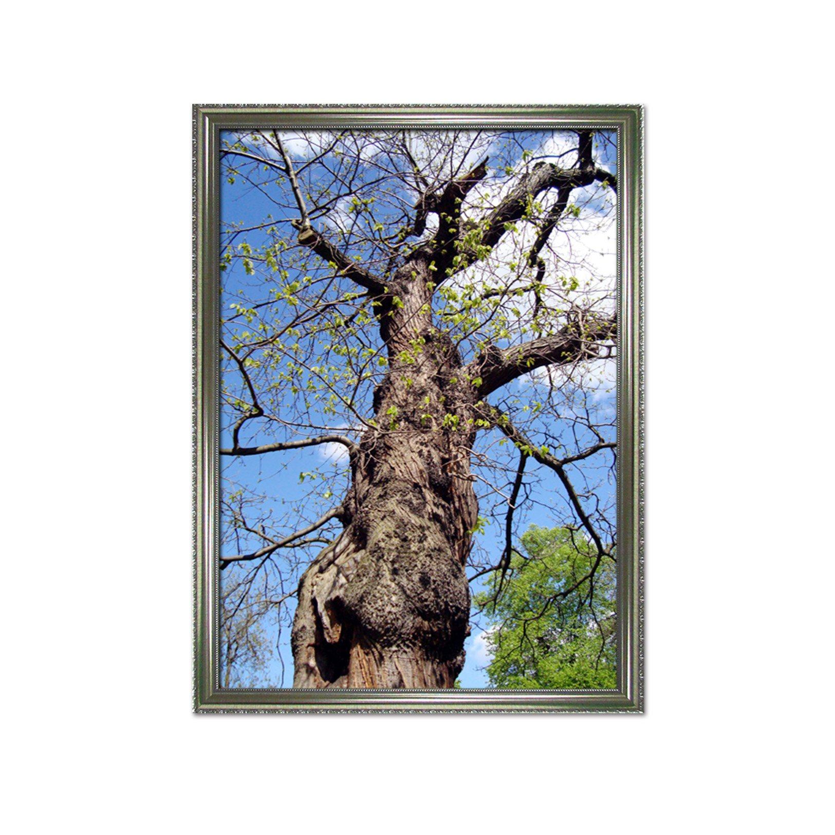 3D Lonely Tree 069 Fake Framed Print Painting Wallpaper AJ Creativity Home 
