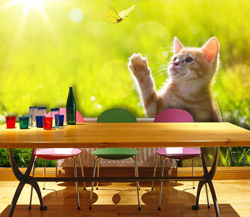 3D Sunny Cat 1068 Wall Murals Wallpaper AJ Wallpaper 2 