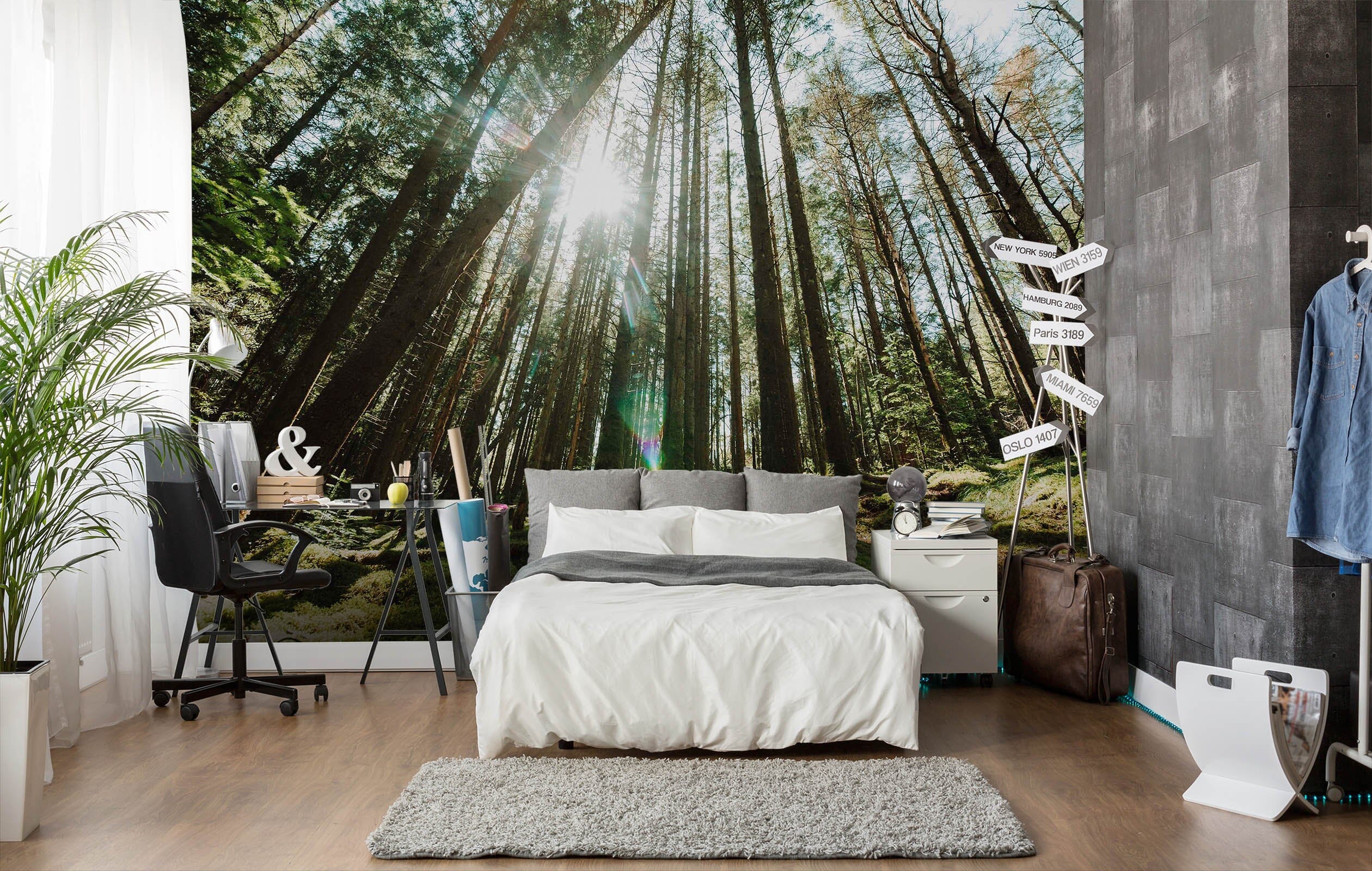 3D Forest Sunshine 107 Wall Murals Wallpaper AJ Wallpaper 2 