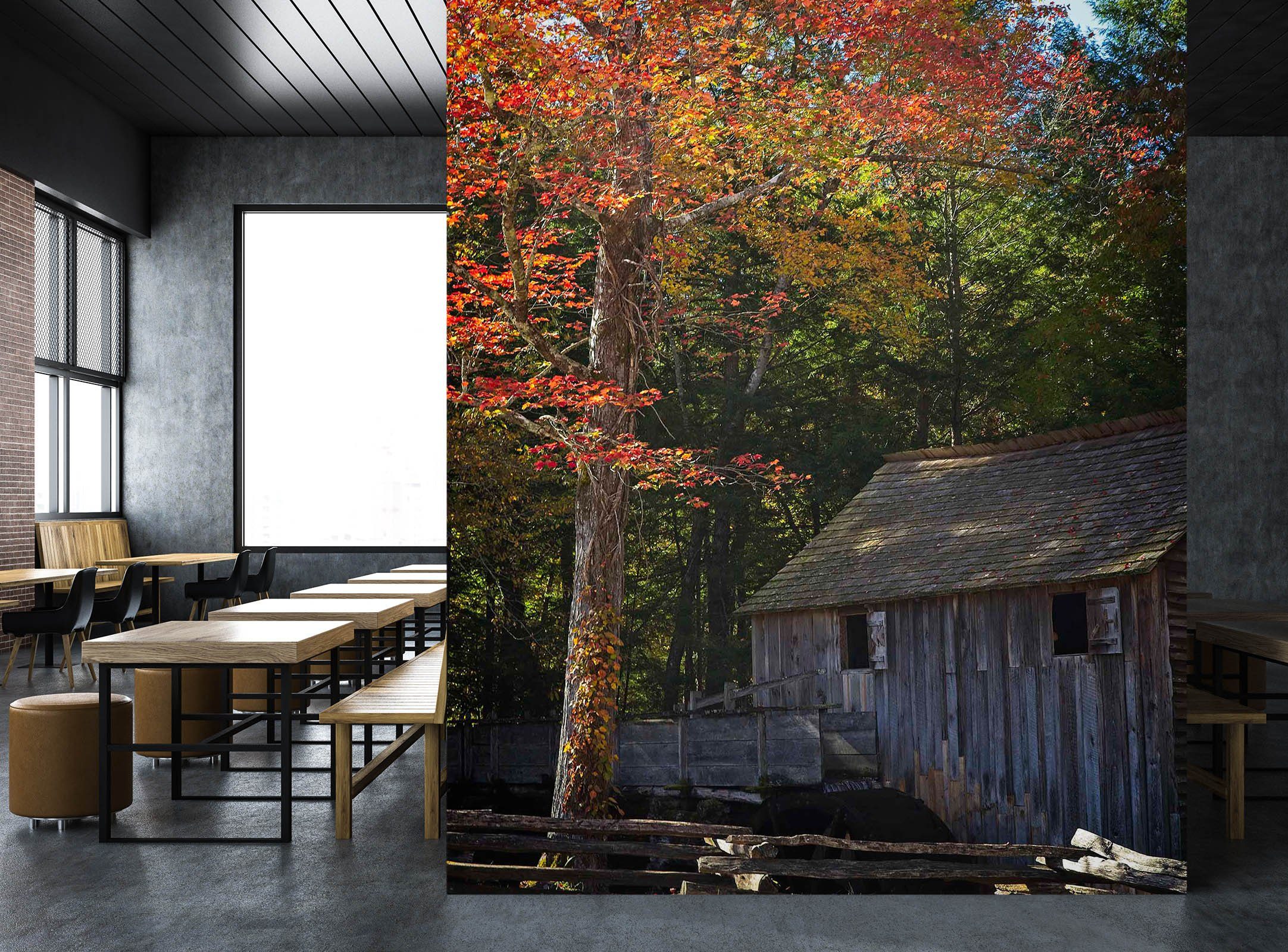 3D Autumn 1399 Kathy Barefield Wall Mural Wall Murals Wallpaper AJ Wallpaper 2 