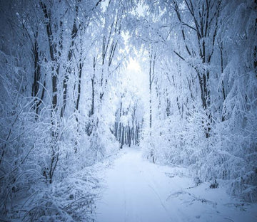 3D White Snow Forest Path 55 Wallpaper AJ Wallpaper 