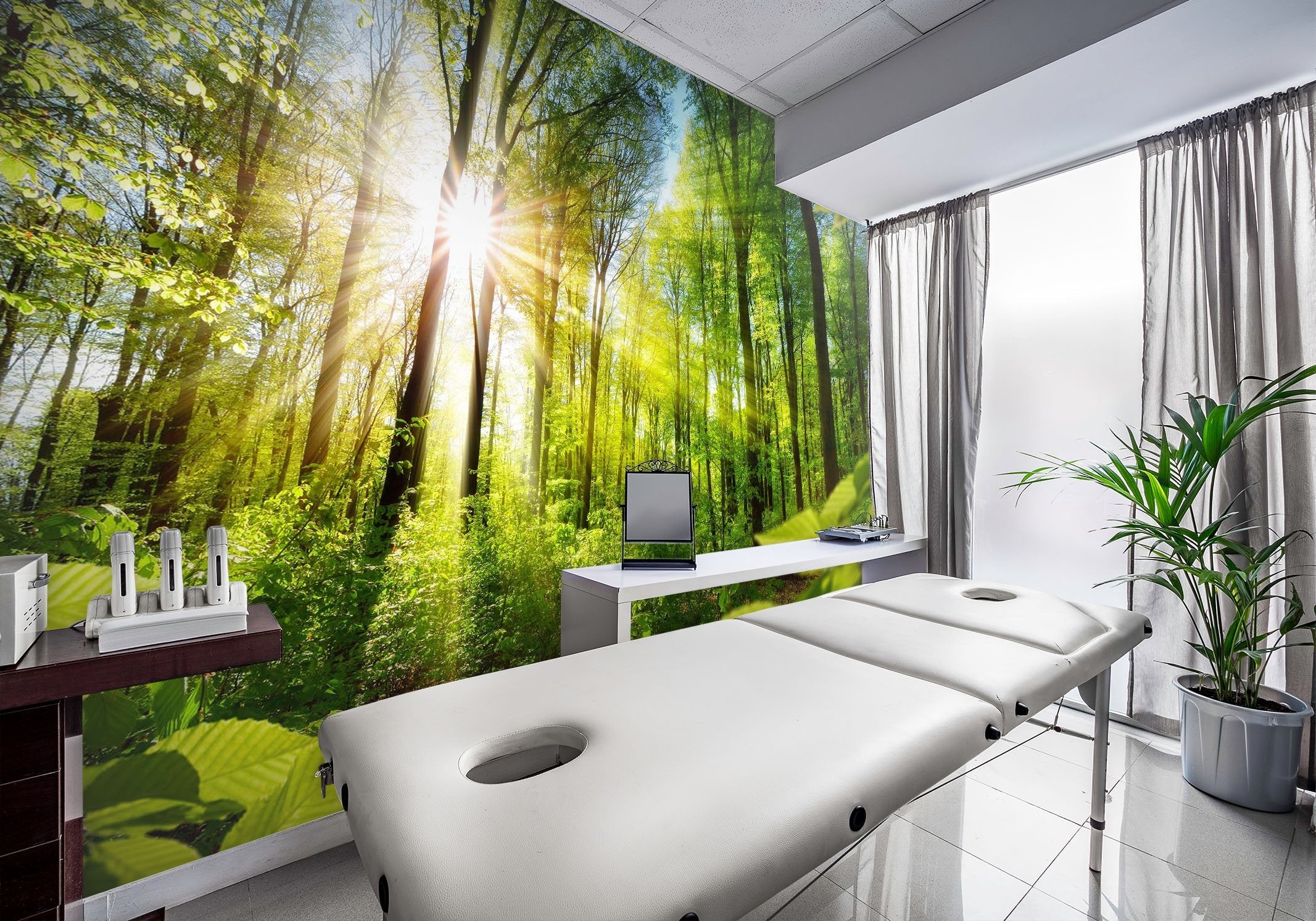 3D Forest Morning 63 Wall Murals Wallpaper AJ Wallpaper 2 