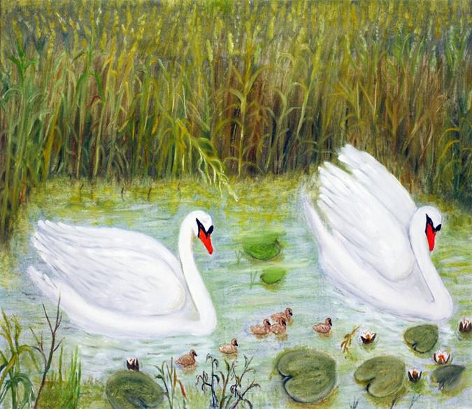 3D Swan Couple 682 Wallpaper AJ Wallpaper 