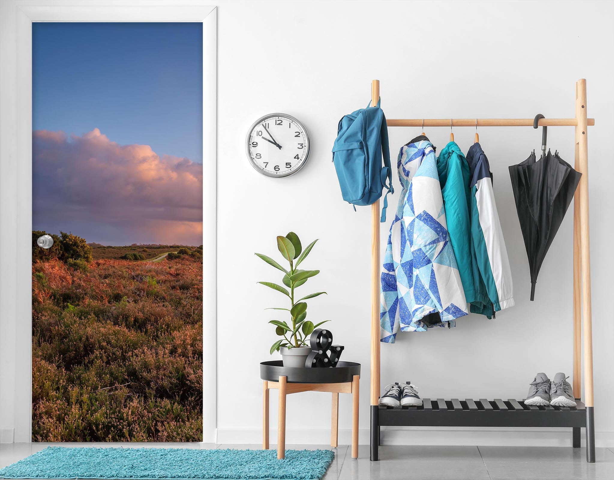 3D White Cloud 5121 Assaf Frank Door Mural