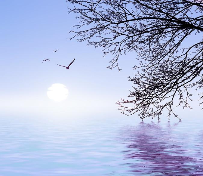 3D Autumn River Swallow 103 Wallpaper AJ Wallpaper 