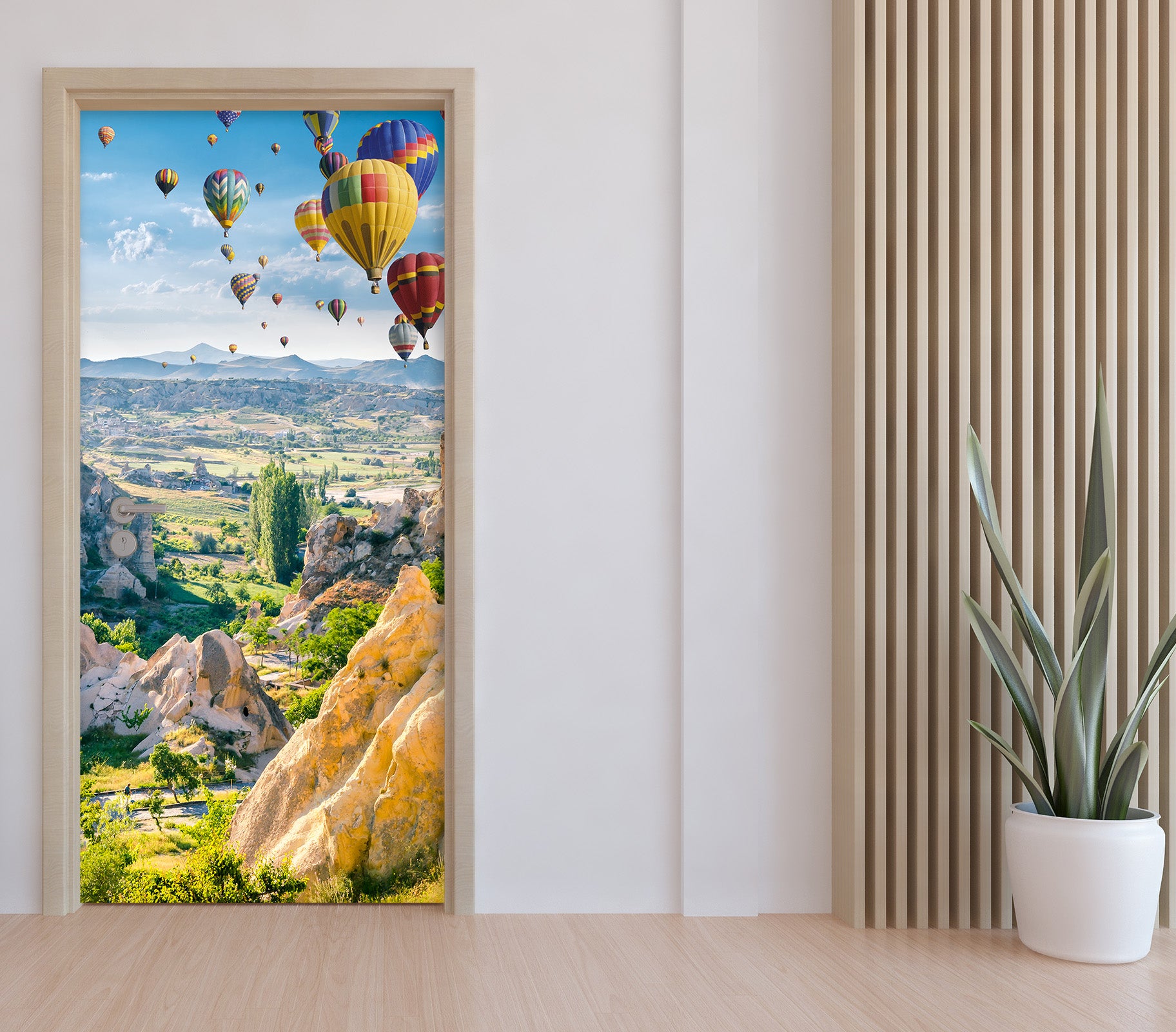 3D Hot Air Balloon 25112 Door Mural