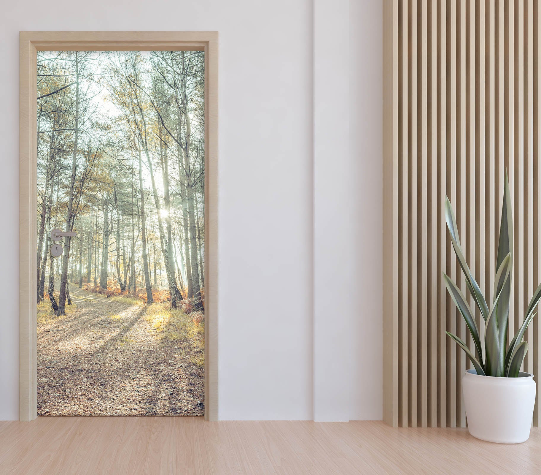 3D Sun Forest 5202 Assaf Frank Door Mural