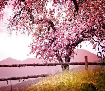 3D Pink Cherry Tree Flower 24 Wallpaper AJ Wallpaper 