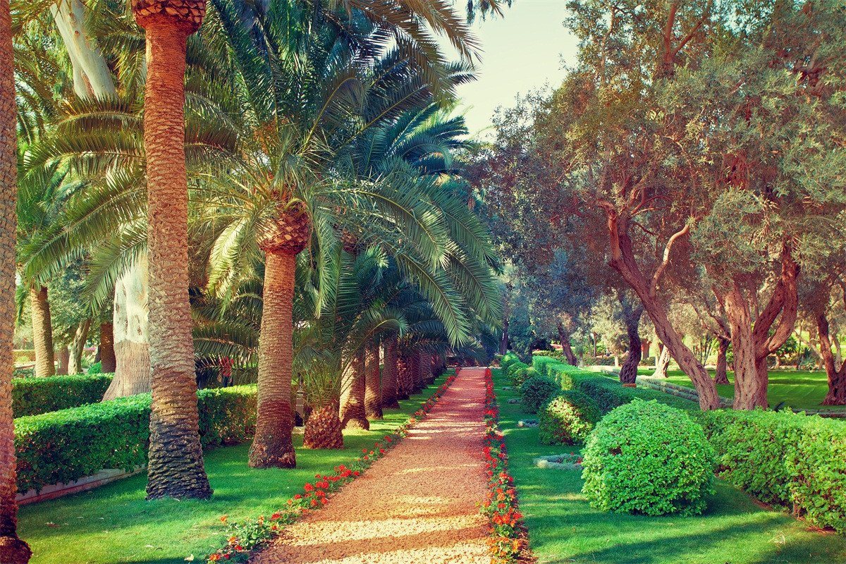 3D Park Green Trees 130 Garage Door Mural Wallpaper AJ Wallpaper 