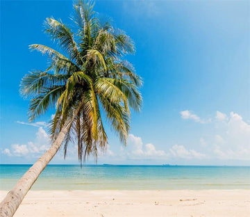 3D Ocean Beach Coconut Tree 23 Wallpaper AJ Wallpaper 