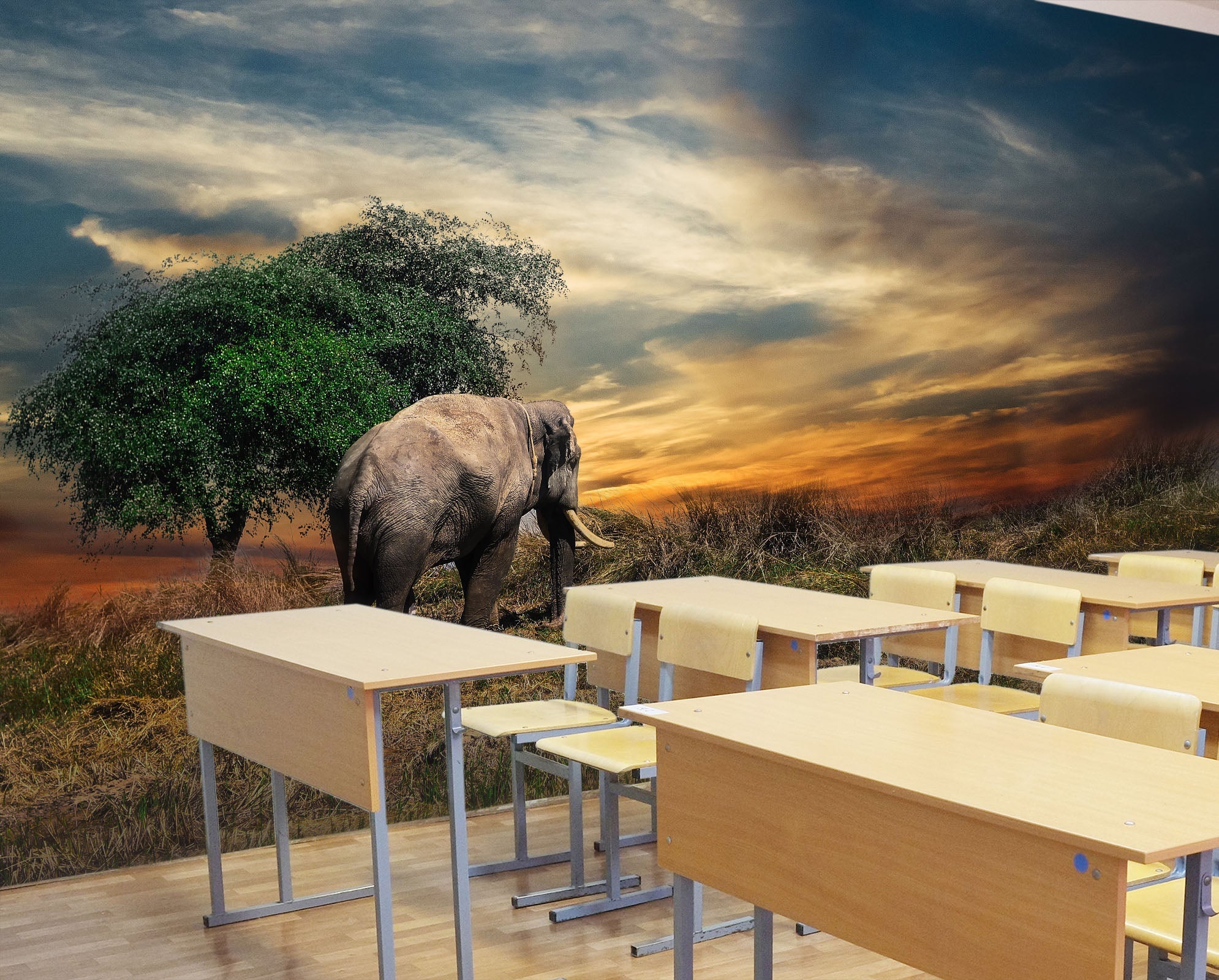 3D elephant on the grasses 17 Wall Murals Wallpaper AJ Wallpaper 2 