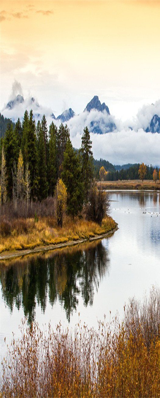 3D fresh water inverted image trees door mural Wallpaper AJ Wallpaper 