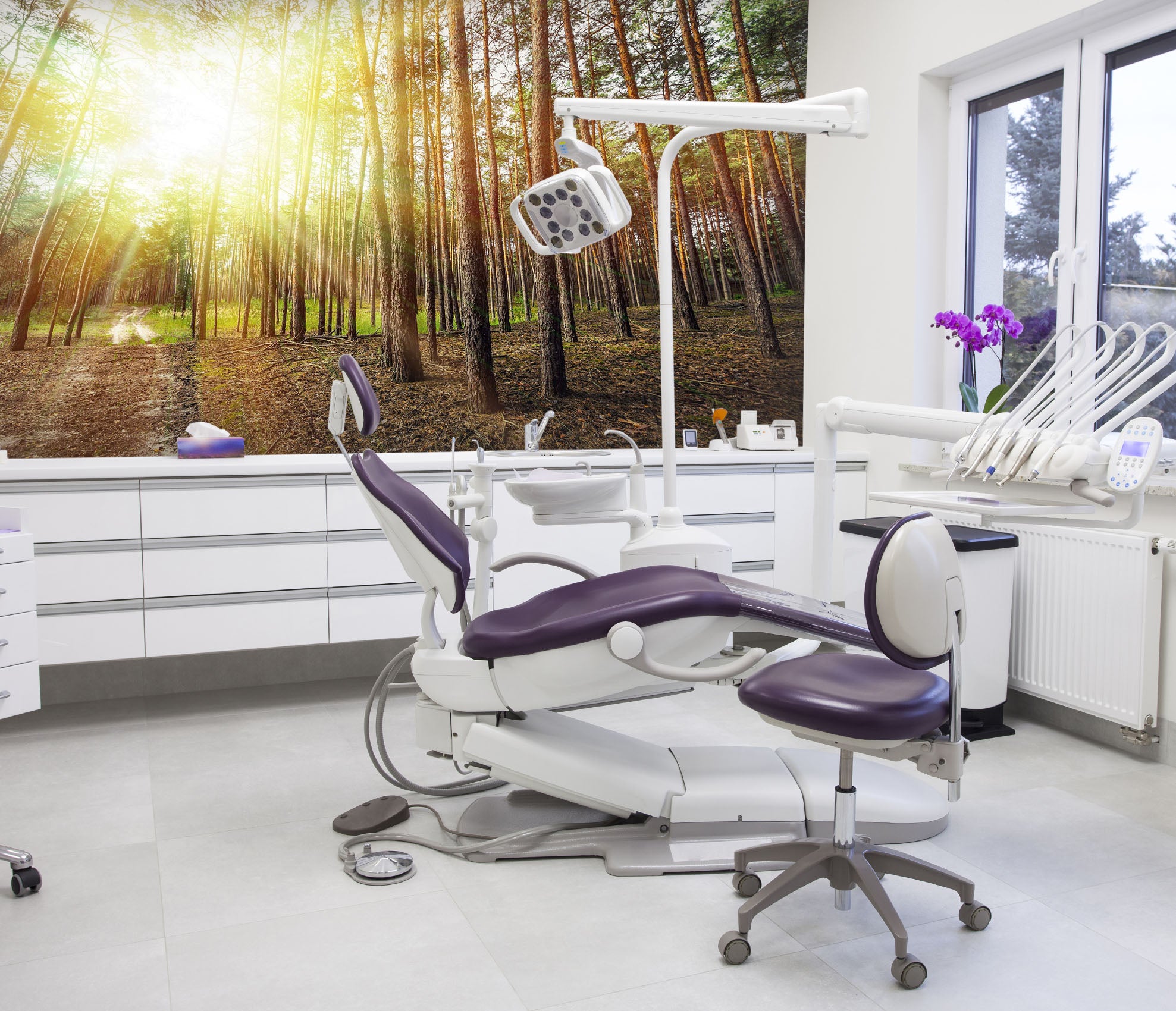 3D Forest Sunshine 003 Wall Murals Wallpaper AJ Wallpaper 2 