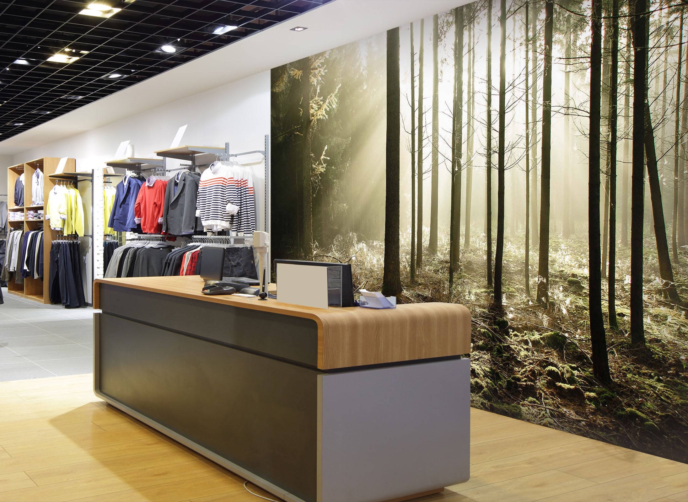 3D sunshine in the forest 24 Wall Murals Wallpaper AJ Wallpaper 2 