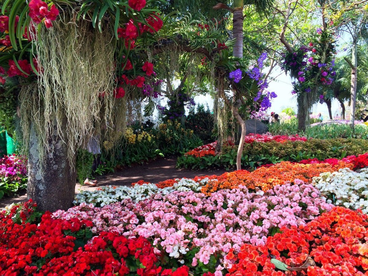 3D Pretty Flowers 120 Garage Door Mural Wallpaper AJ Wallpaper 