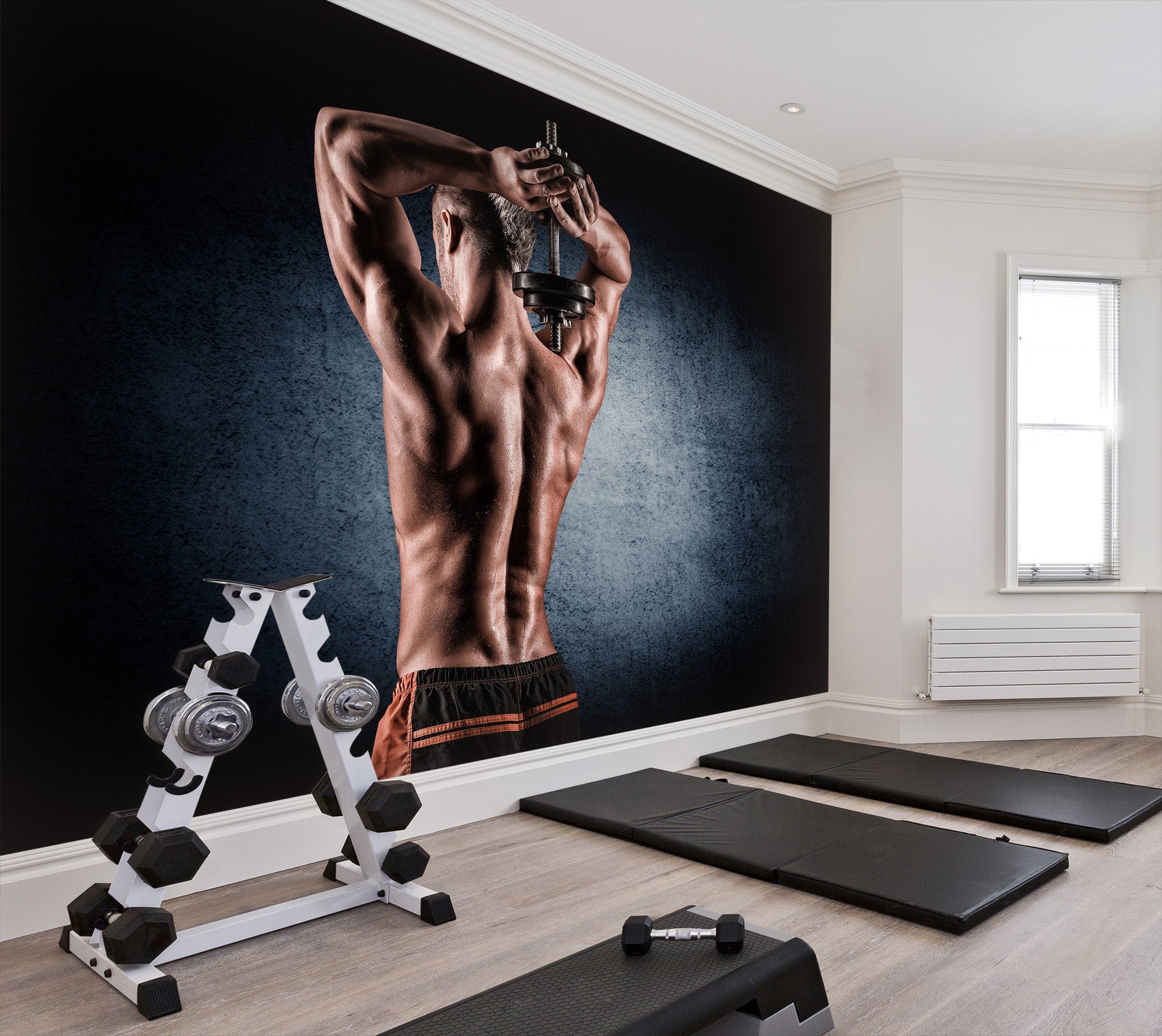 3D Lifting Dumbbell 041 Wall Murals Wallpaper AJ Wallpaper 2 