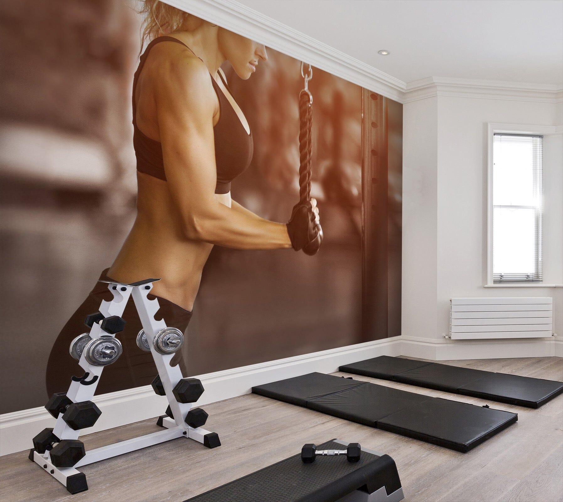 3D Muscle Girl 265 Wall Murals Wallpaper AJ Wallpaper 2 