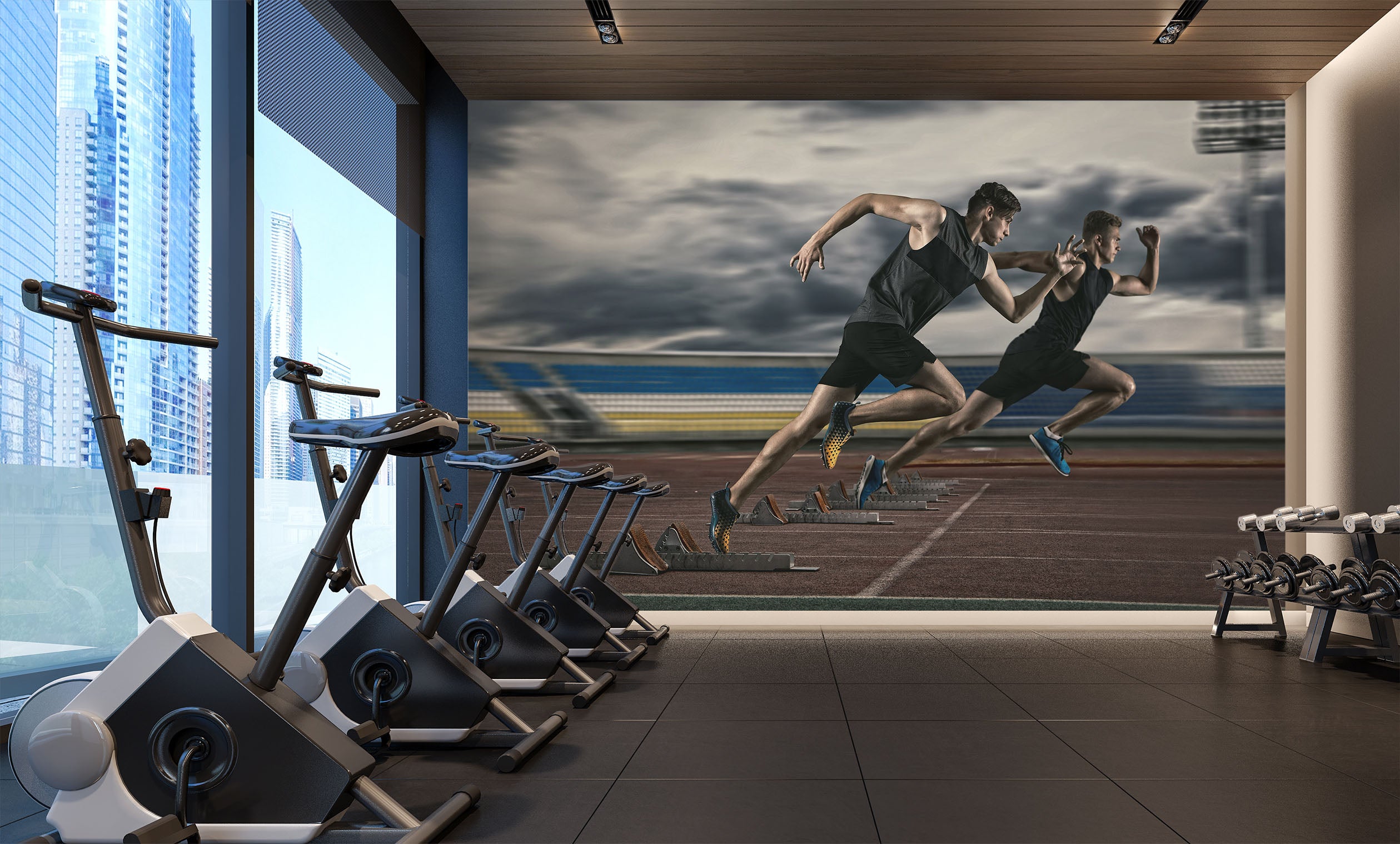 3D Race Running 312 Wall Murals