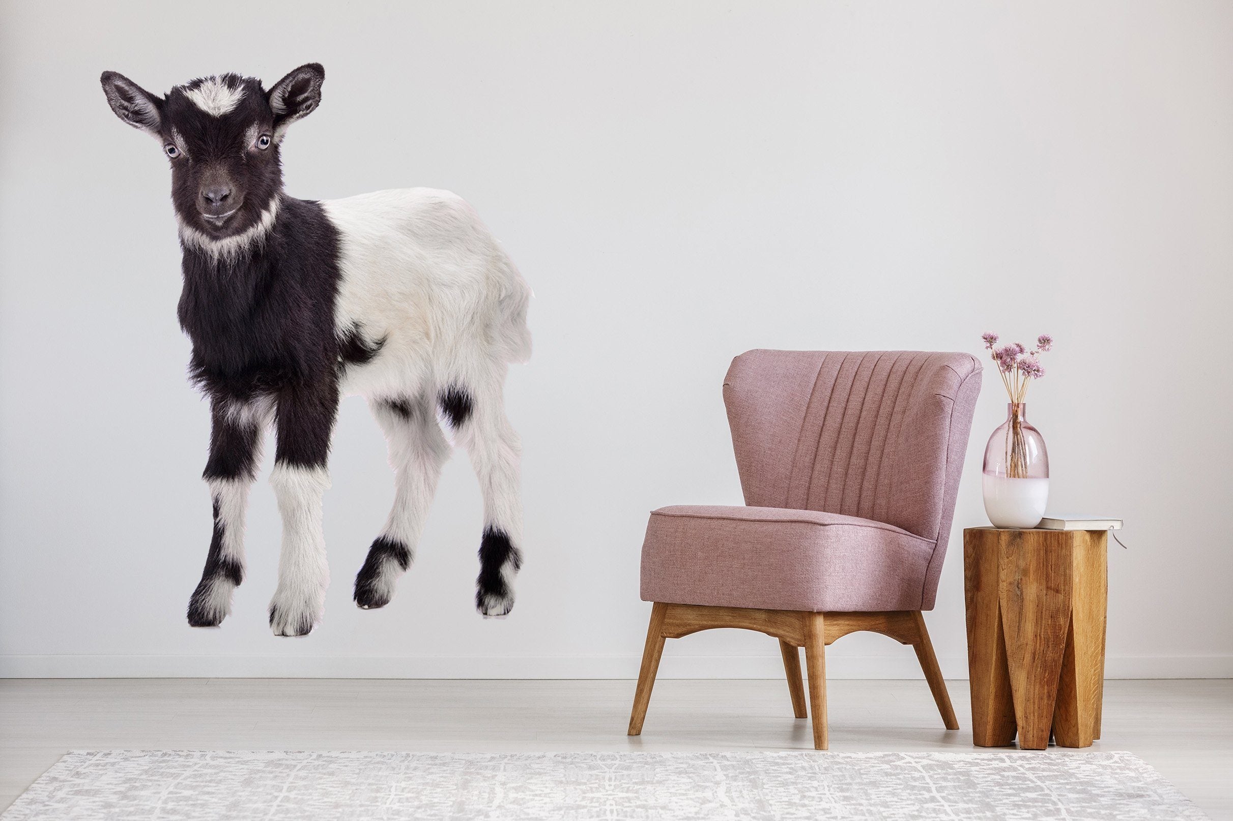 3D Sheep Learning To Walk 102 Animals Wall Stickers Wallpaper AJ Wallpaper 