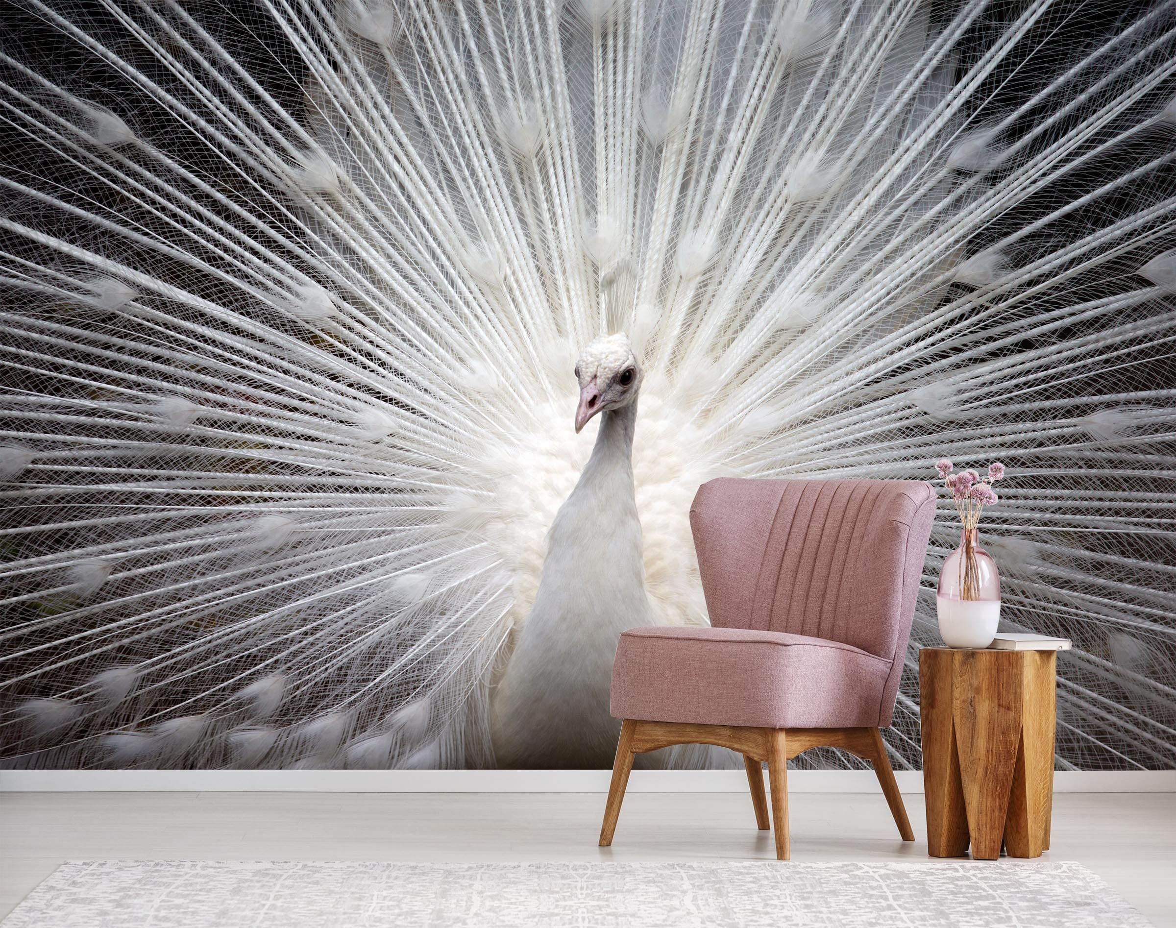 3D White Peacock 408 Wall Murals Wallpaper AJ Wallpaper 2 