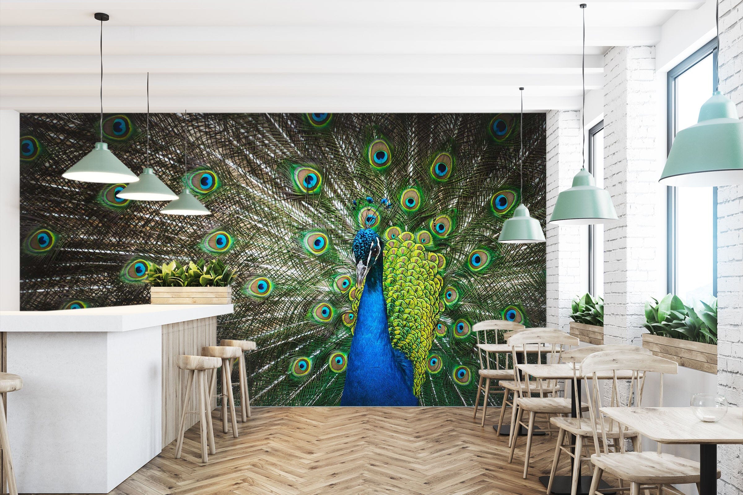 3D Beautiful Peacock 211 Wall Murals Wallpaper AJ Wallpaper 2 